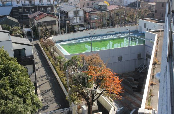 071121 プール.JPG